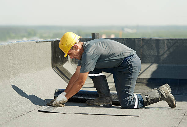 Best Eco-Friendly Insulation in Pima, AZ