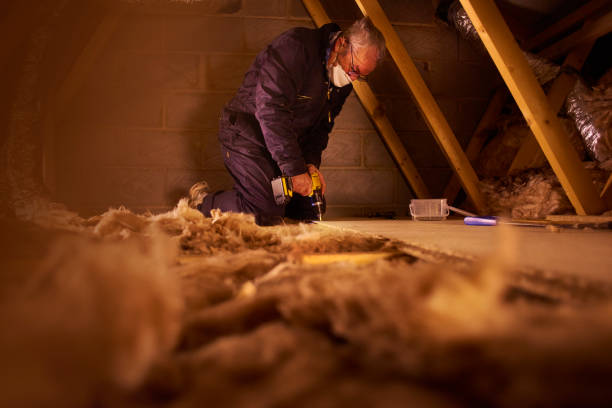 Best Specialized Insulation Services in Pima, AZ